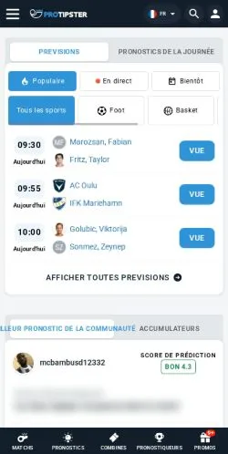 Aperçu du site ProTipster, média de France pour articles sponsorisés