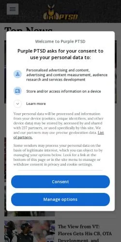 スポンサード記事向けのアメリカ合衆国メディア、Facebookのサイトプレビュー