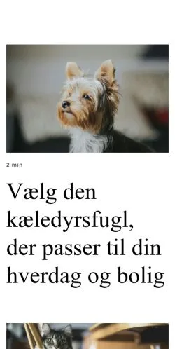 Pré-visualização do site dyreblog.dk, meio de Dinamarca para artigos patrocinados