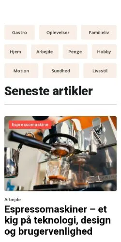 スポンサード記事向けのデンマークメディア、esbjergnet.dkのサイトプレビュー