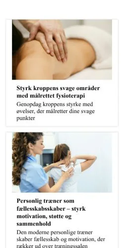 Anteprima del sito fysioterapibladet.dk, media di Danimarca per articoli sponsorizzati