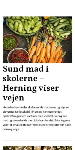 스폰서 기사용 덴마크 매체 herning365.dk 사이트 미리보기
