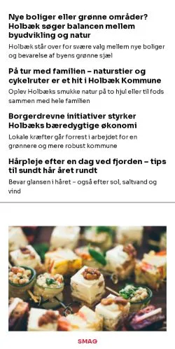 Anteprima del sito holbaekinfo.dk, media di Danimarca per articoli sponsorizzati
