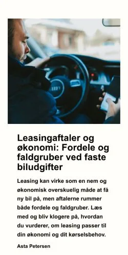 Anteprima del sito leasingselskaber.dk, media di Danimarca per articoli sponsorizzati