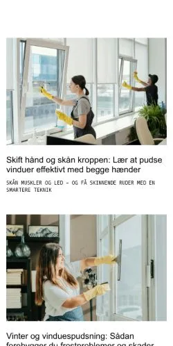 Anteprima del sito nyvinduespudser.dk, media di Danimarca per articoli sponsorizzati