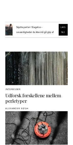 Podgląd witryny slagelseportalen.dk, medium z kraju Dania do artykułów sponsorowanych
