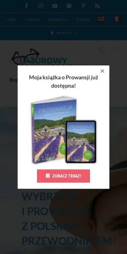 Anteprima del sito Lazurowy Przewodnik, media di Polonia per articoli sponsorizzati