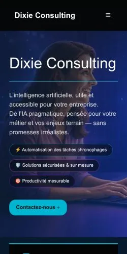 Pré-visualização do site Dixie Consulting, meio de França para artigos patrocinados