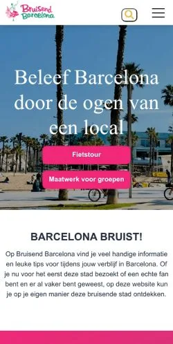 Anteprima del sito Bruisend Barcelona, media di Paesi Bassi per articoli sponsorizzati
