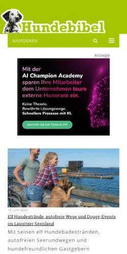 Anteprima del sito Hunde-Bibel, media di Germania per articoli sponsorizzati