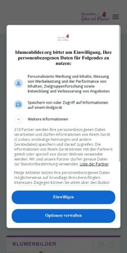 スポンサード記事向けのドイツメディア、Blumenbilderのサイトプレビュー