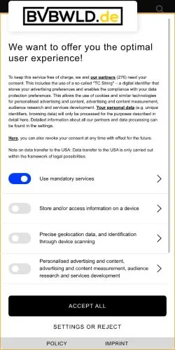 スポンサード記事向けのドイツメディア、BVBWLDのサイトプレビュー