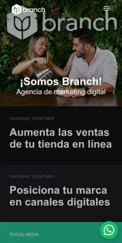 Vorschau der Website Branch, Medium aus Spanien für gesponserte Artikel