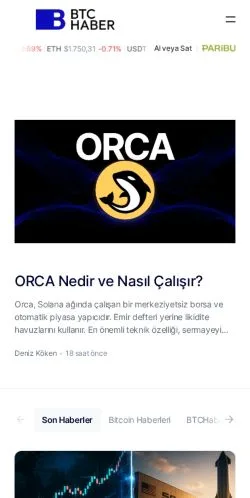 Aperçu du site BTCHaber, média de Turquie pour articles sponsorisés