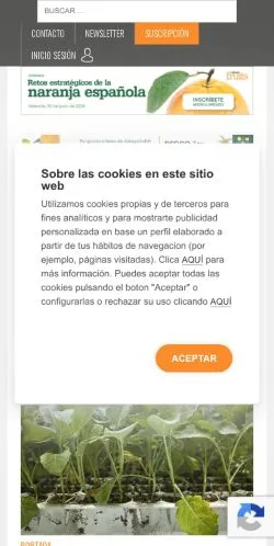 스폰서 기사용 스페인 매체 Valencia Fruits 사이트 미리보기