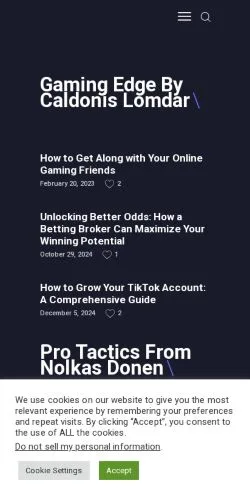 スポンサード記事向けのアメリカ合衆国メディア、Netzgamesのサイトプレビュー