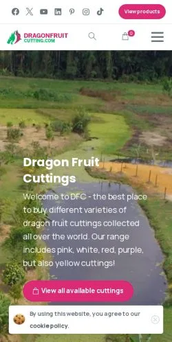 Preview of the Dragon Fruit Cutting website, a media outlet in United States for sponsored articles