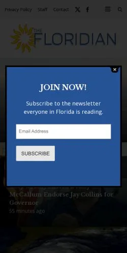 スポンサード記事向けのアメリカ合衆国メディア、The Floridianのサイトプレビュー