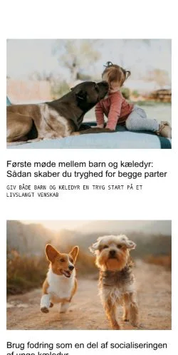Anteprima del sito danskehusdyr.dk, media di Danimarca per articoli sponsorizzati