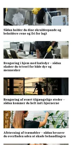 Podgląd witryny detrenehus.dk, medium z kraju Dania do artykułów sponsorowanych