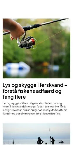 Podgląd witryny fiskesiden.dk, medium z kraju Dania do artykułów sponsorowanych