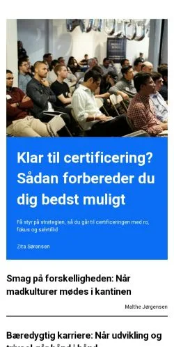 Forhåndsvisning af handels.dk, medie fra Danmark til sponsorerede artikler
