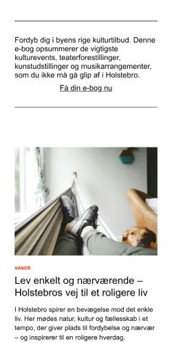 Podgląd witryny heleholstebro.dk, medium z kraju Dania do artykułów sponsorowanych