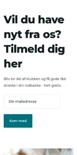 Anteprima del sito laanbilligere.dk, media di Danimarca per articoli sponsorizzati