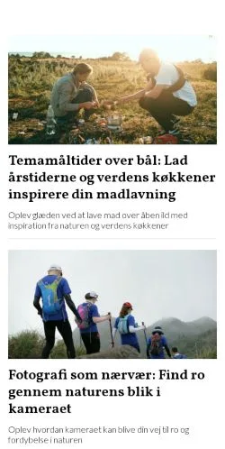 Podgląd witryny minfriluft.dk, medium z kraju Dania do artykułów sponsorowanych