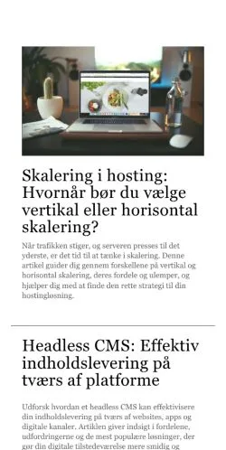 Voorbeeld van de site netfolk.dk, medium uit Denemarken voor gesponsorde artikelen