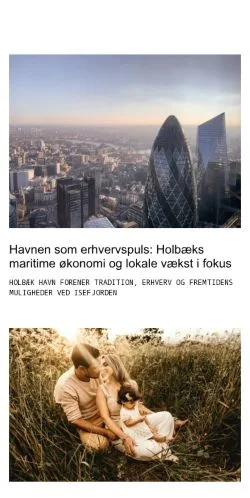 スポンサード記事向けのデンマークメディア、seholbaek.dkのサイトプレビュー