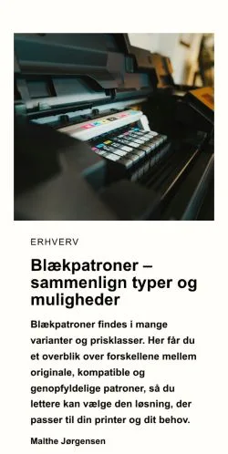 Anteprima del sito vejlesiden.dk, media di Danimarca per articoli sponsorizzati
