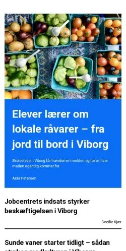 Preview of the viborg360.dk website, a media outlet in Denmark for sponsored articles