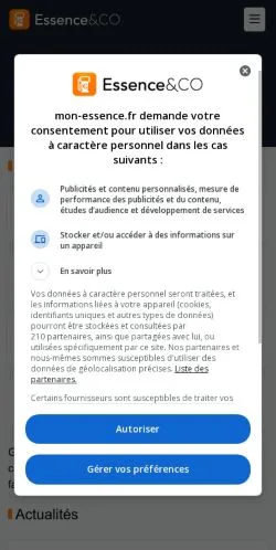 Anteprima del sito Essence&CO, media di Francia per articoli sponsorizzati