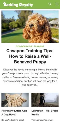 スポンサード記事向けのアメリカ合衆国メディア、Barking Royaltyのサイトプレビュー
