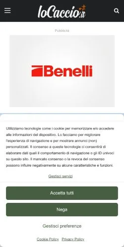 スポンサード記事向けのイタリアメディア、IoCaccioのサイトプレビュー