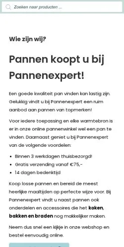 스폰서 기사용 네덜란드 매체 Pannenexpert 사이트 미리보기