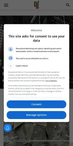 Anteprima del sito Dim Sum Daily, media di Stati Uniti per articoli sponsorizzati