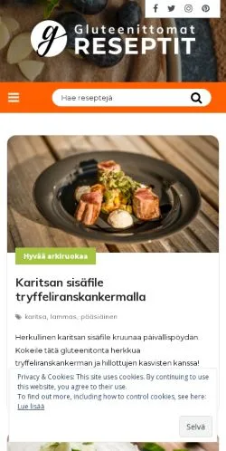 Anteprima del sito Gluteenittomat Reseptit, media di Finlandia per articoli sponsorizzati