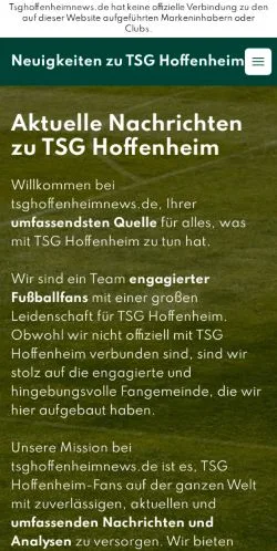 Anteprima del sito TSG Hoffenheim News, media di Germania per articoli sponsorizzati
