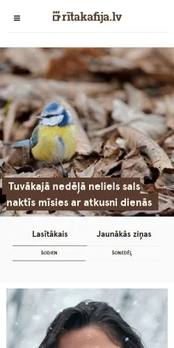 Podgląd witryny Rīta Kafija, medium z kraju Stany Zjednoczone do artykułów sponsorowanych