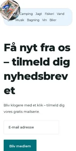 Voorbeeld van de site hobbyhule.dk, medium uit Denemarken voor gesponsorde artikelen