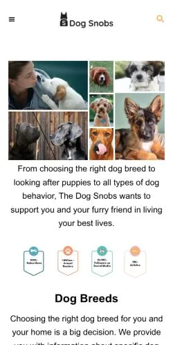 Podgląd witryny The Dog Snobs Blog, medium z kraju Stany Zjednoczone do artykułów sponsorowanych