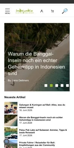 Anteprima del sito Indojunkie, media di Germania per articoli sponsorizzati