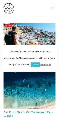 スポンサード記事向けのアメリカ合衆国メディア、The Northern Boyのサイトプレビュー