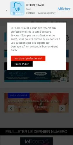 Podgląd witryny Lefildentaire, medium z kraju Francja do artykułów sponsorowanych