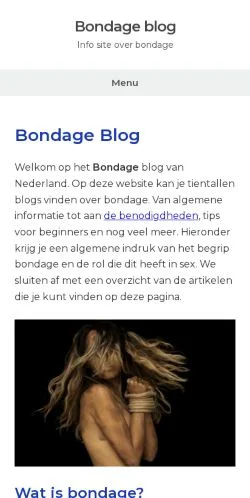 Anteprima del sito Bondage Blog, media di Paesi Bassi per articoli sponsorizzati