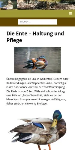 Anteprima del sito Enten Haltung, media di Germania per articoli sponsorizzati