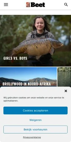 Forhåndsvisning av nettstedet Beet Magazine, medium fra Nederland for sponsede artikler