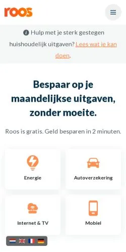 スポンサード記事向けのオランダメディア、Roosのサイトプレビュー
